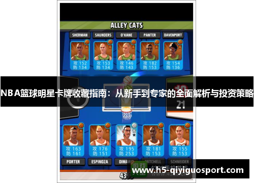 NBA篮球明星卡牌收藏指南：从新手到专家的全面解析与投资策略